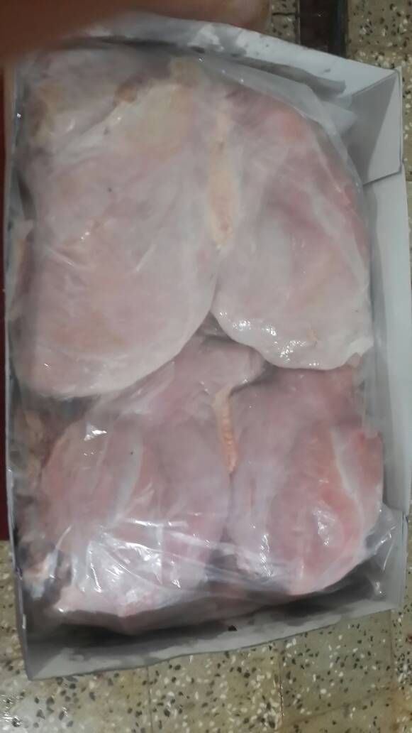 بوقلمون بیوتی پرواری خرید پرواری فروش گوشت 09124496359